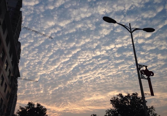 供暖首月 青岛空气质量为近5年来同期最好